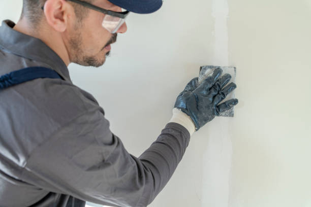 Eco-Friendly and Low-VOC Painting in Rainbow, CA